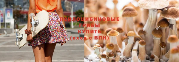 mdpv Вязьма