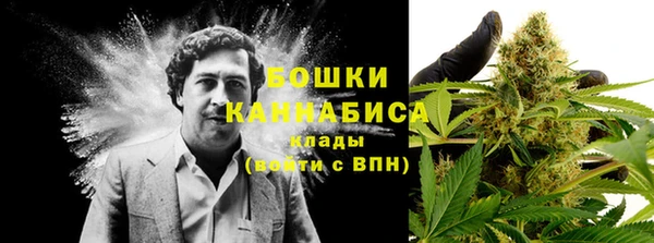 кокс Вяземский