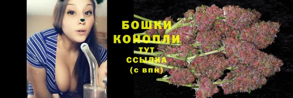 ПСИЛОЦИБИНОВЫЕ ГРИБЫ Горняк