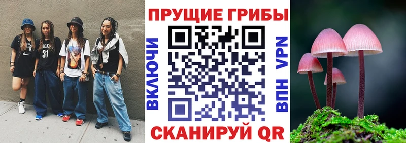 Купить где  Красноуральск  Псилоцибиновые грибы GOLDEN TEACHER 